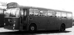 Jeff Edwards Bus Collection