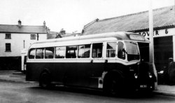 Jeff Edwards Bus Collection