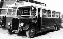 Jeff Edwards Bus Collection