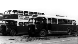 Jeff Edwards Bus Collection