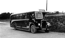 Jeff Edwards Bus Collection