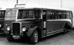 Jeff Edwards Bus Collection
