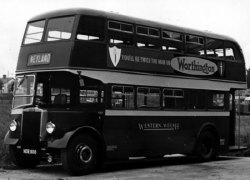 Jeff Edwards Bus Collection