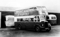 Jeff Edwards Bus Collection