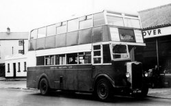 Jeff Edwards Bus Collection