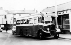 Jeff Edwards Bus Collection