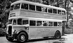 Jeff Edwards Bus Collection