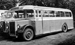 Jeff Edwards Bus Collection