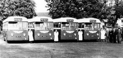 Jeff Edwards Bus Collection