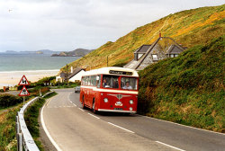 Jeff Edwards Bus Collection