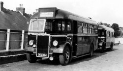 Jeff Edwards Bus Collection
