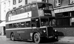 Jeff Edwards Bus Collection
