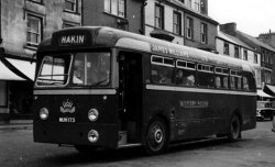 Jeff Edwards Bus Collection