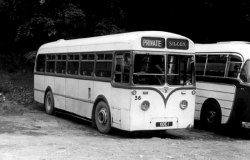 Jeff Edwards Bus Collection