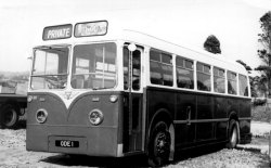Jeff Edwards Bus Collection