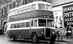 Jeff Edwards Bus Collection