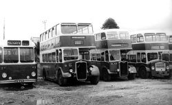 Jeff Edwards Bus Collection