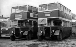 Jeff Edwards Bus Collection