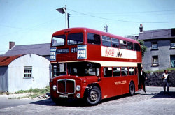 Jeff Edwards Bus Collection