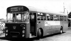Jeff Edwards Bus Collection