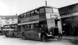 Jeff Edwards Bus Collection