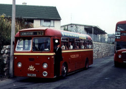 Jeff Edwards Bus Collection