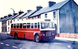 Jeff Edwards Bus Collection