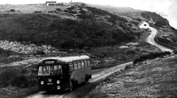 Jeff Edwards Bus Collection