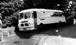 Jeff Edwards Bus Collection