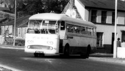 Jeff Edwards Bus Collection