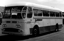 Jeff Edwards Bus Collection