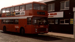 Jeff Edwards Bus Collection