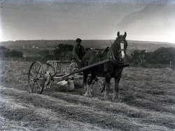 Tom Mathias: Rural Life