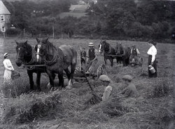 Tom Mathias: Rural Life