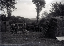 Tom Mathias: Rural Life