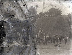 Tom Mathias: Rural Life