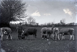 Tom Mathias: Rural Life