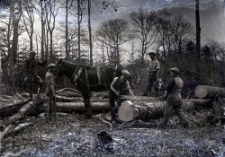 Tom Mathias: Rural Life
