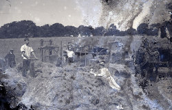 Tom Mathias: Rural Life