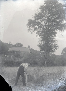Tom Mathias: Rural Life