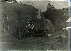 Tom Mathias: Rural Life