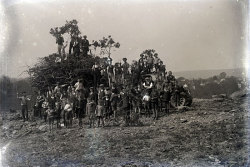 Tom Mathias: Rural Life