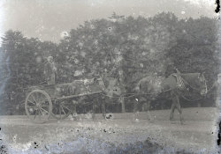 Tom Mathias: Rural Life