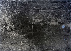 Tom Mathias: Rural Life