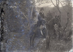 Tom Mathias: Rural Life