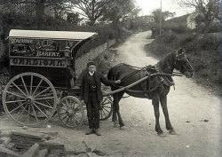 Tom Mathias: Rural Life