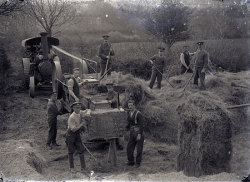 Tom Mathias: Rural Life