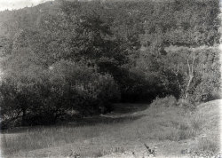 Tom Mathias: Rural Life