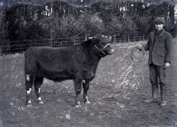 Tom Mathias: Rural Life