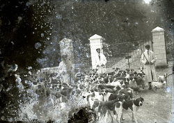 Tom Mathias: Rural Life